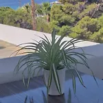 Meltemi Syros
