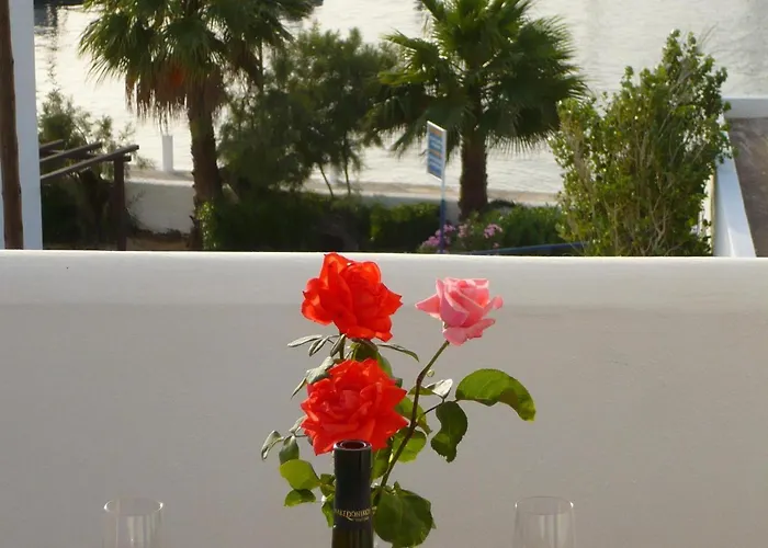 Meltemi Syros Posidhonía