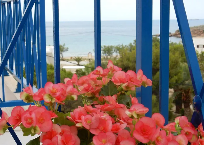 Meltemi Syros * 波西多尼亚