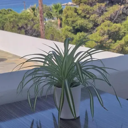 Meltemi Syros