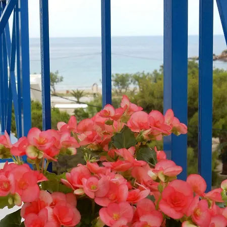 Meltemi Syros * Posidhonía